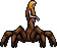 Arachne CVCOTM