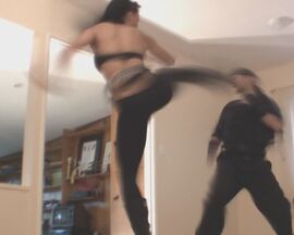 Agent-3V- kick
