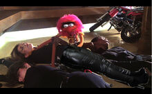 Muppets 10