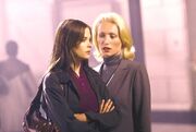 BulletproofMonk VictoriaSmurfit