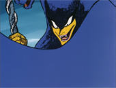 Pantherzora