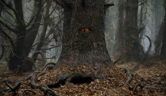 Demonic Tree Evil Dead Wiki Fandom