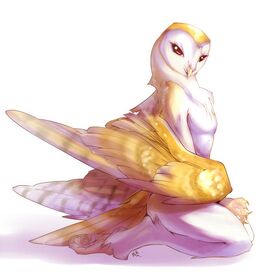 Owling