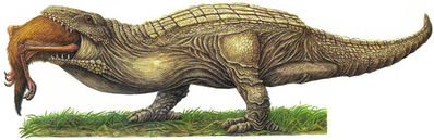 Ganeosaurus