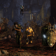 Hunters Evolve Wiki Fandom