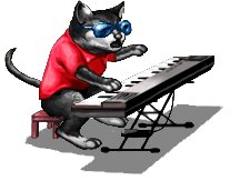 Stupidkeyboardcat-0