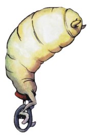 PedroPupa