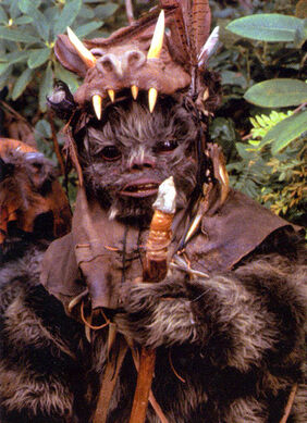 Teebo rotj