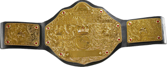 Pcw World Heavyweight Championship The Ewrestling Encyclopedia