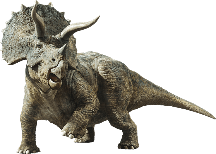 triceratops ex515 wiki fandom