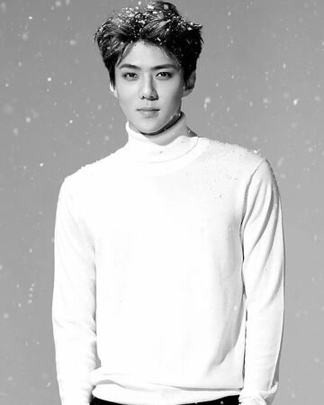 Exo Sehun Height Age Suho Height Weight Age Body