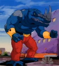 Warrior-rhino