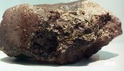 Plesium