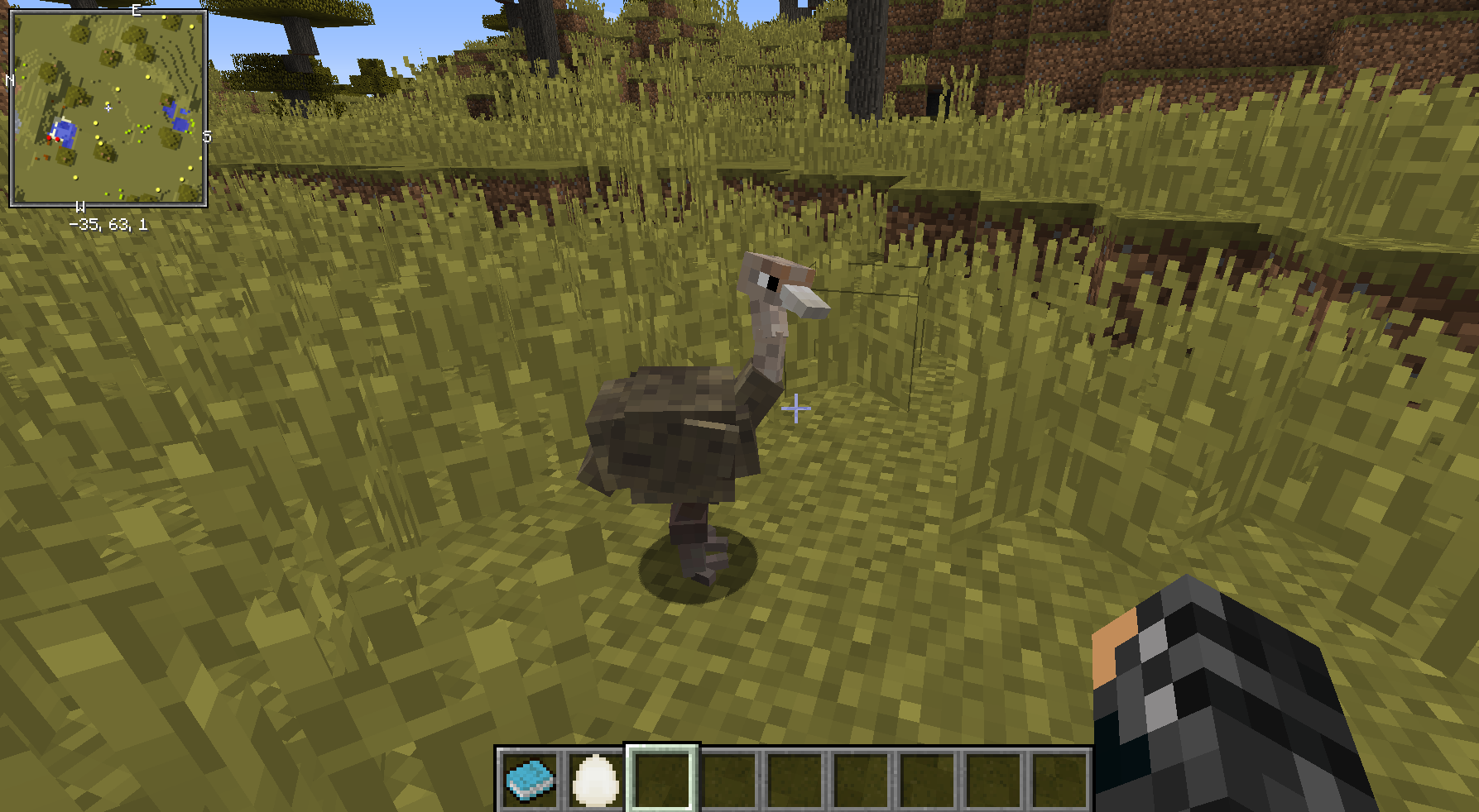 Ostrich | Exotic Birds Wikia | Fandom