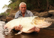 Jeremywadetigerfish