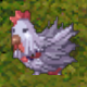 Cluckers