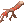 Bloody Branch