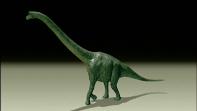 wiki brachiosaurus