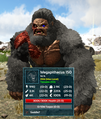 Monkey