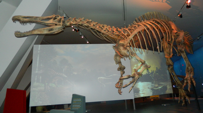 baryonyx fossil for sale