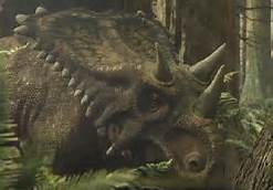 Chasmosaurus