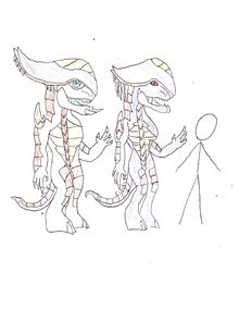 Yenaax Gender