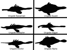 Ungade Jobs