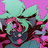 Emerald911's avatar