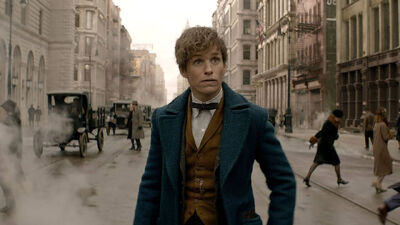 'Fantastic Beasts and Where to Find Them' - A New Hero Featurette