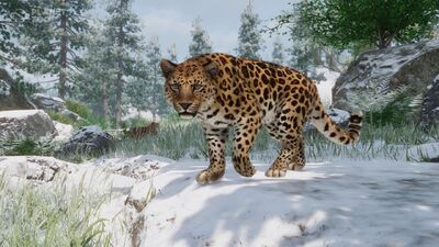 We Talked Conservation and More With the Planet Zoo Team
