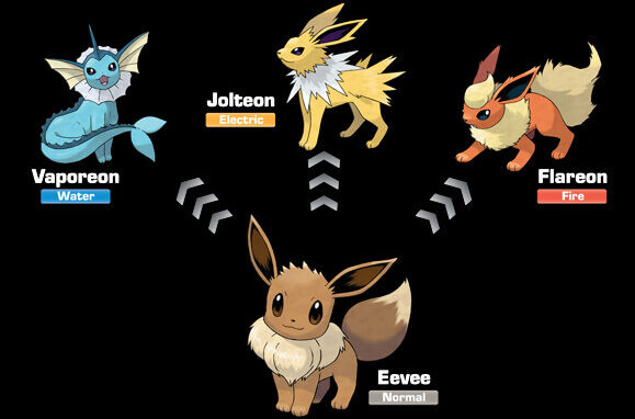 Eevee-Evolution-Pokemon-Go