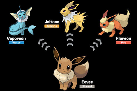 How to get all Eevee evolutions in Pokémon Go - Android Authority