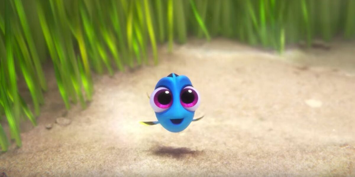 Baby Dory