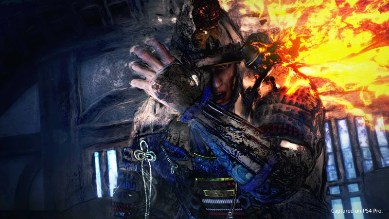 nioh 2 used