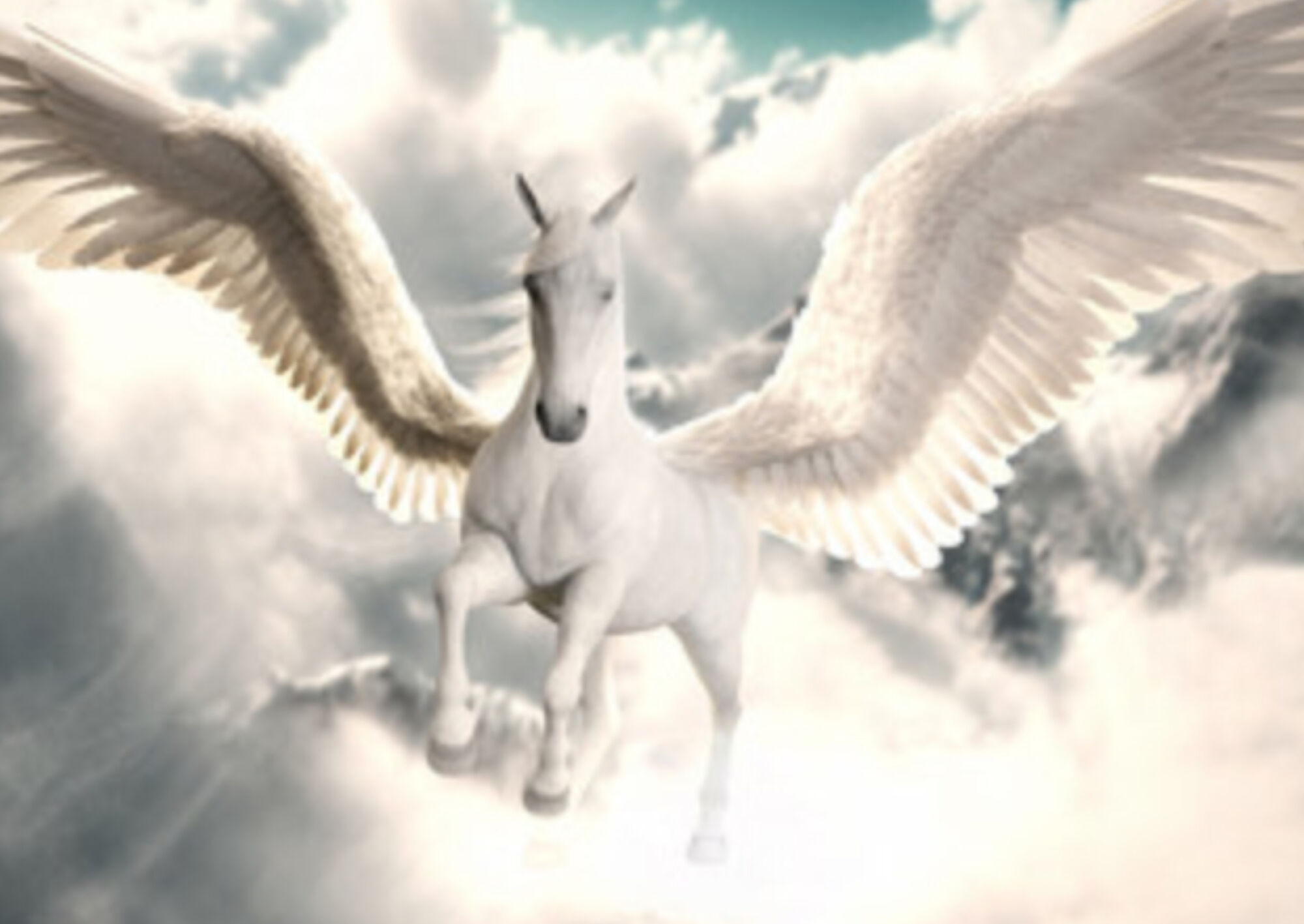 Pegasus | Fabelwesen Wiki | Fandom