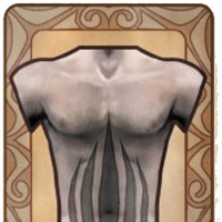 Furite Flame Stomach Tattoo The Fable Wiki Fandom