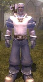 Bright Villager Outfit