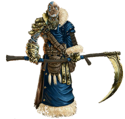 Kosa