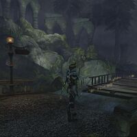 Silverpines The Fable Wiki Fandom