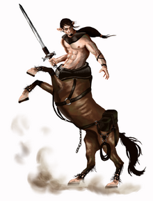 Broadhoof