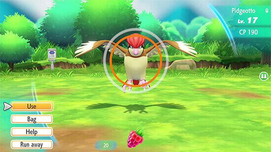 Pidgetto in Pokémon Let&#039;s Go