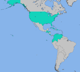 RedStarWhiteStarTurn10CFTUMap