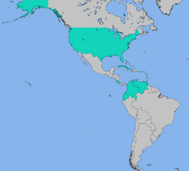 RedStarWhiteStarTurn3CFTUMap