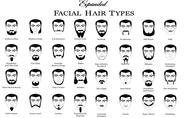 Image - Styles.png | Facial Hair Wiki | FANDOM powered by Wikia