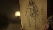 Wikia Fae - Illustration of Kappa