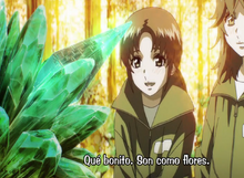Nucleo Bosque2