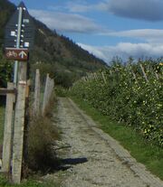 Radweg im vinschgau