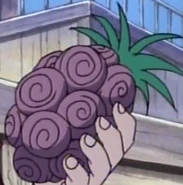 Cursed Fruit | The Fairy One Piece Tail Universe Wiki | Fandom