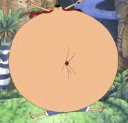 One piece d One piece d