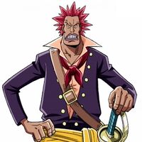 Rockstar The Fairy One Piece Tail Universe Wiki Fandom